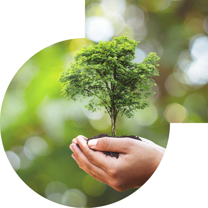 關懷人類、文化、環境與社會